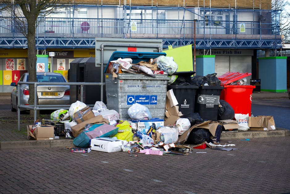 In the foreground, a collection of various waste materials is positioned on a driveway or paved surface, including several large cardboard boxes with corrugated and smooth textures, some flattened and